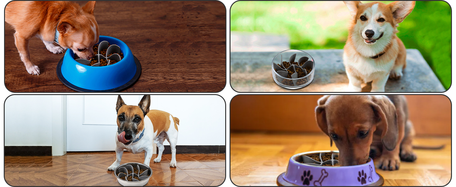 PETTOM 2 шт. миски для собак з нержавіючої сталі з антизалипанням, 2-в-1 миски для собак, годівниця для собак 1560 мл з неслизьким силіконовим дном, миска від заковтування для великих та середніх собак Ø21 см - 2 миски та 1 вставка