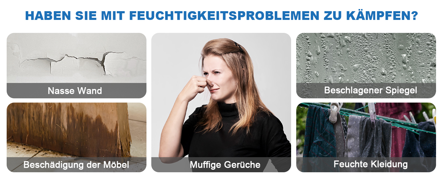 Електричний осушувач повітря 9л/24г, тихий, з дитячим замком та захистом від переливу, автоматичний перезапуск, для спальні, ванної, підвалу та пральні