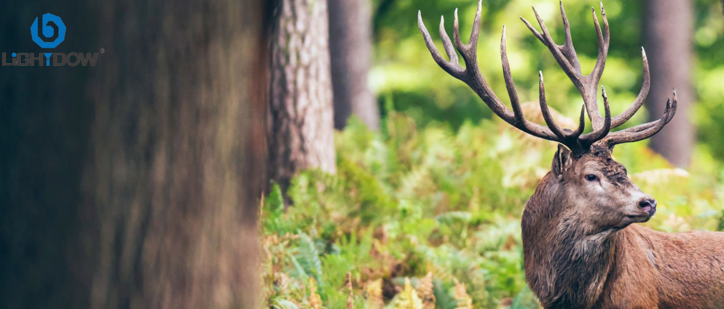 Чохол для об'єктива DSLR Lightdow (4 шт.) - м'який неопрен, 5 мм