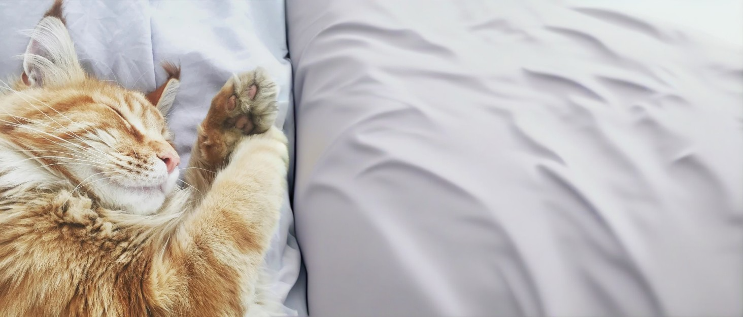 Килимок для котів DONWEI, м'який, у вигляді подушки-пончика, 50 см, сірий, для собак та котів