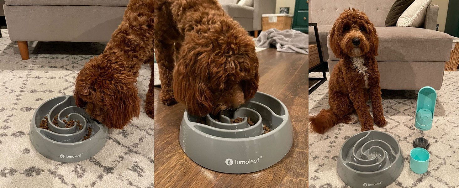 Миска для собак LumoLeaf Antischlingnapf, Ø 22 см, протиковзаюча, важка, для повільного годування, сіра (Торнадо), L