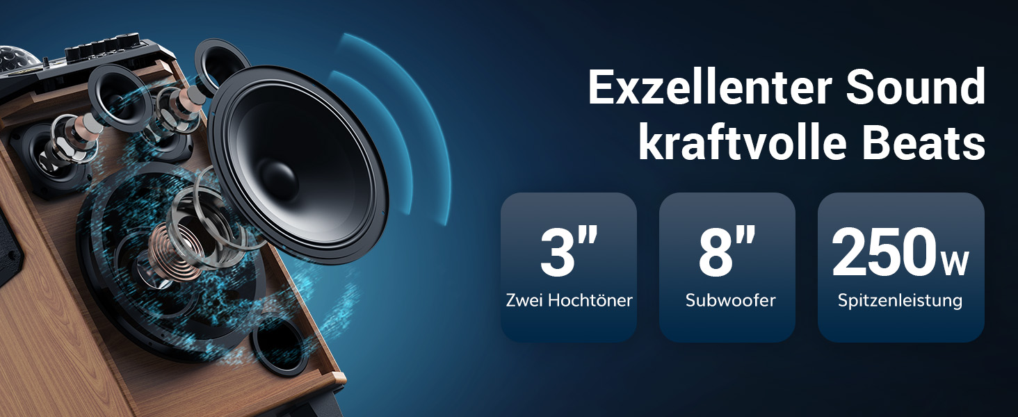 Караоке система TONOR K20 з 2 мікрофонами, Bluetooth, світлодіодна куля, для дому та вулиці