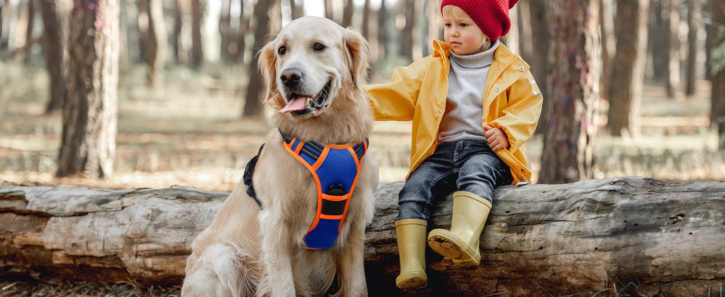 Шлейка для собак Eagloo великих порід, анти-тяга, з світловідбиваючими смугами, регульована, для Лабрадора, розмір L (XS, 1 шт., блакитний & оранжевий)