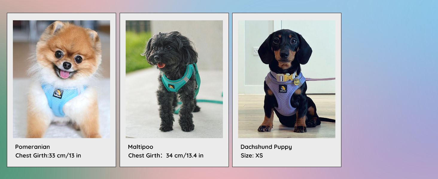 Шлейка для собак BELLA & PAL для маленьких собак з повідком, Step-in шлейка з Air Mesh, анти-тяга, світловідбиваюча, дихаюча, для цуценят, котяча шлейка, мокко, S (35-40 см обхват грудей)