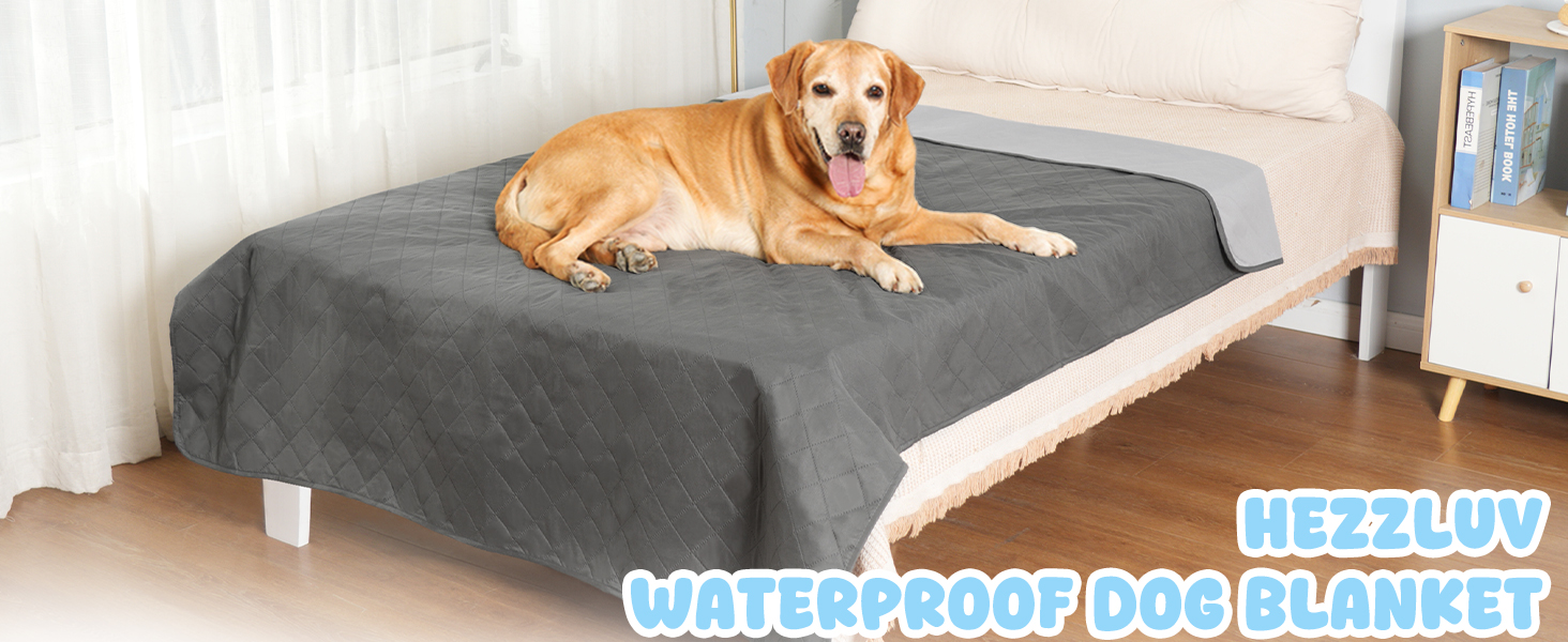 Водонепроникний захисний чохол для собачого дивана HezzLuv, ковдра для тварин, простирадло на матрац, захист меблів, миється, двосторонній, стійкий до подряпин, стійкий до шерсті тварин, для цуценят, середніх та великих собак та котів (сірий, 203x152 см)