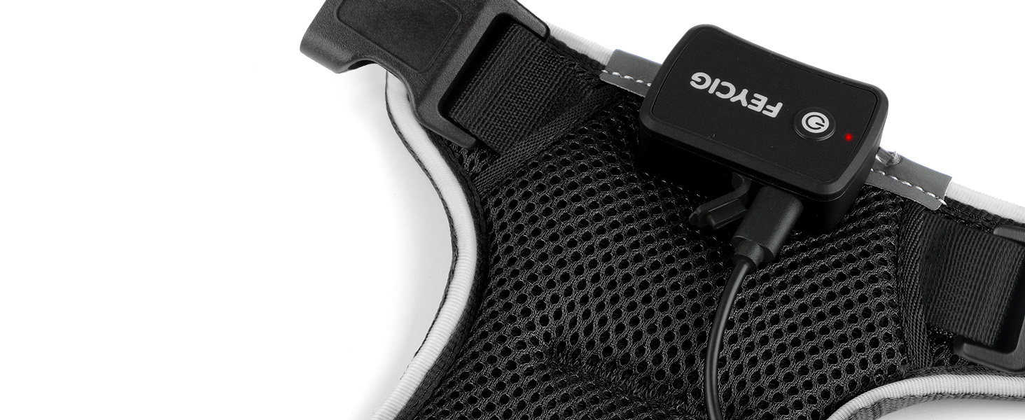 Світлодіодне шлейка для собак з підсвічуванням LED, перезаряджувана, для малих, середніх та великих собак, світловідбиваюча, регульована, XL (Чорний, Small)