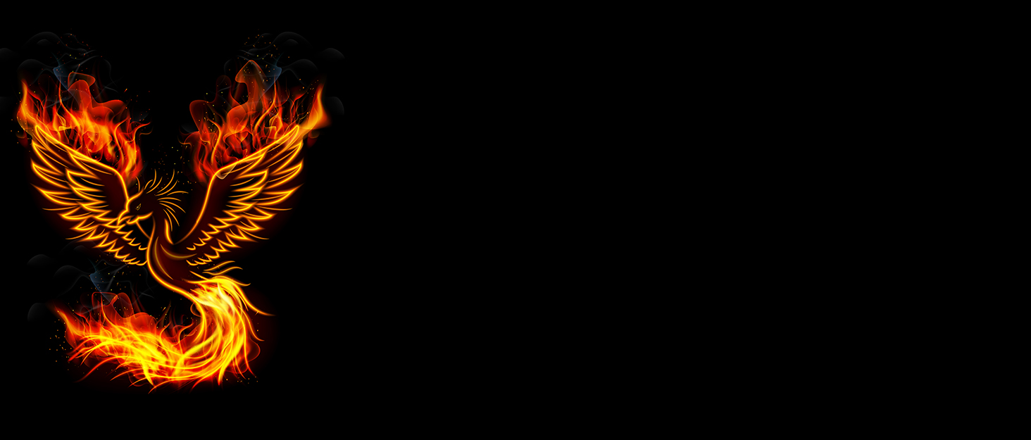 HOSHANHO 20 см кухонний ніж для приготування їжі, професійний японський шеф-ніж з нержавіючої сталі з вуглецевим покриттям та ергономічною дерев'яною ручкою