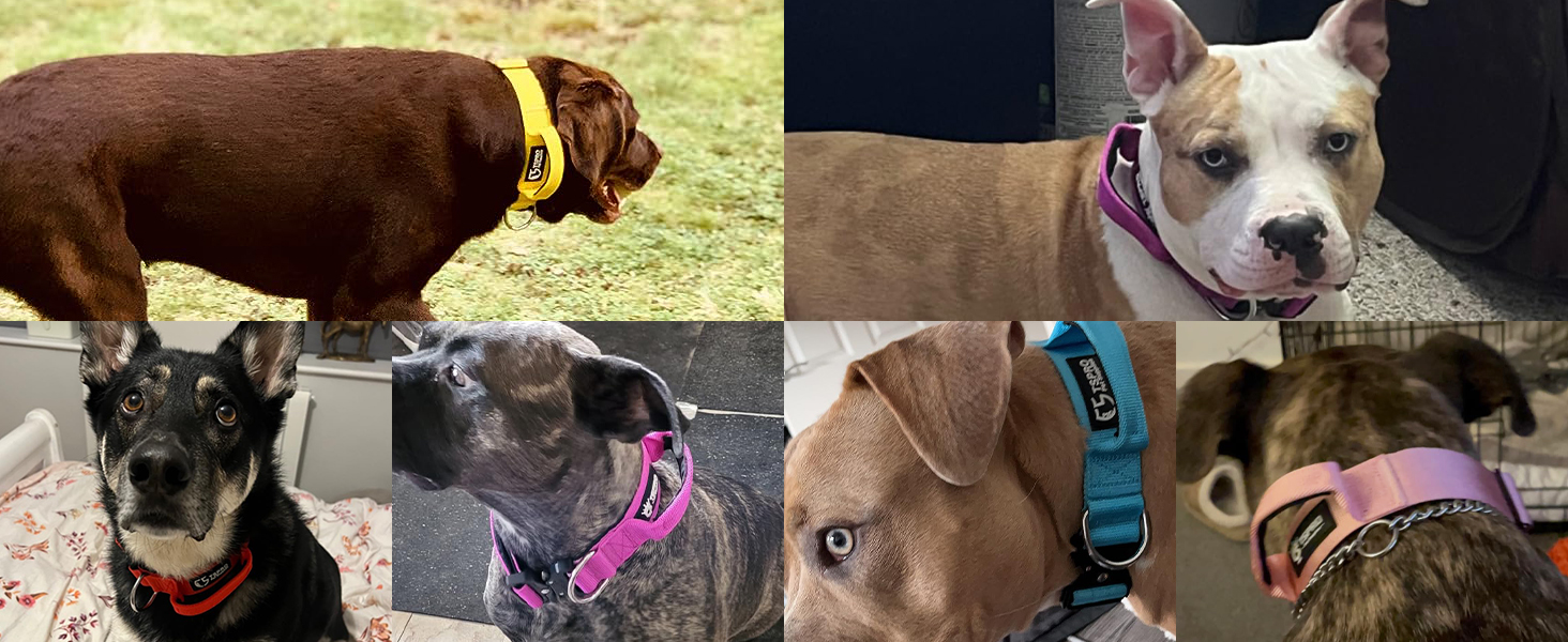 Преміум нашийник для собак TSPRO з ручкою, тактичний, міцний, з металевою застібкою, для середніх та великих собак (червоний L), розмір ручки L (регульований 44.5-62.2 см)