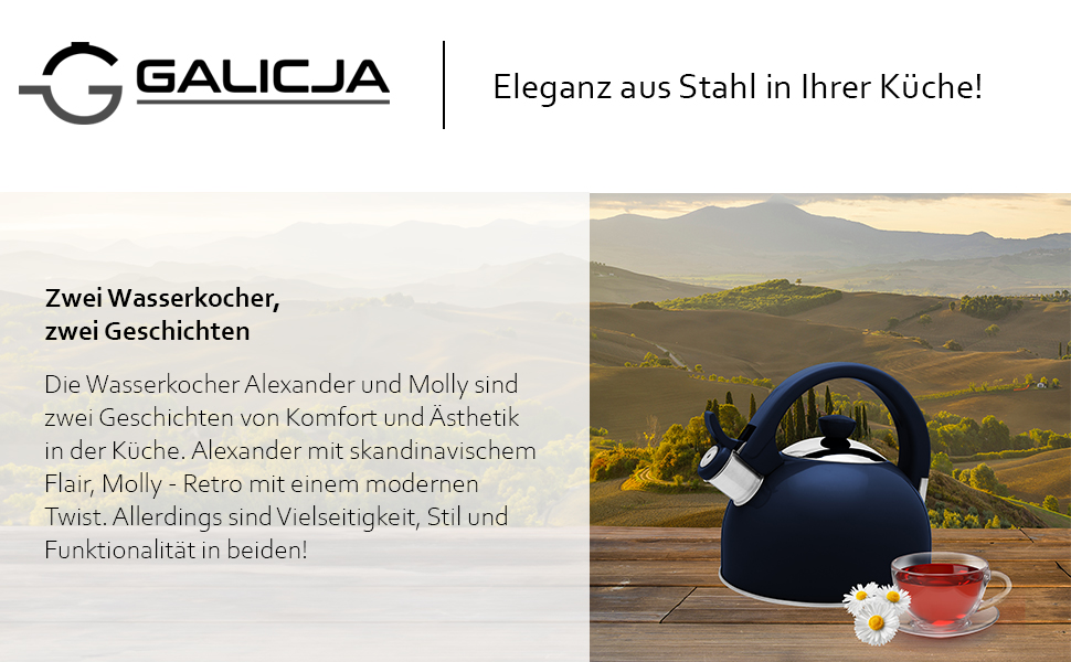 Чайник електричний зі свистком з нержавіючої сталі Molly, 1.7л, зелений (газова плита, індукція, плита)