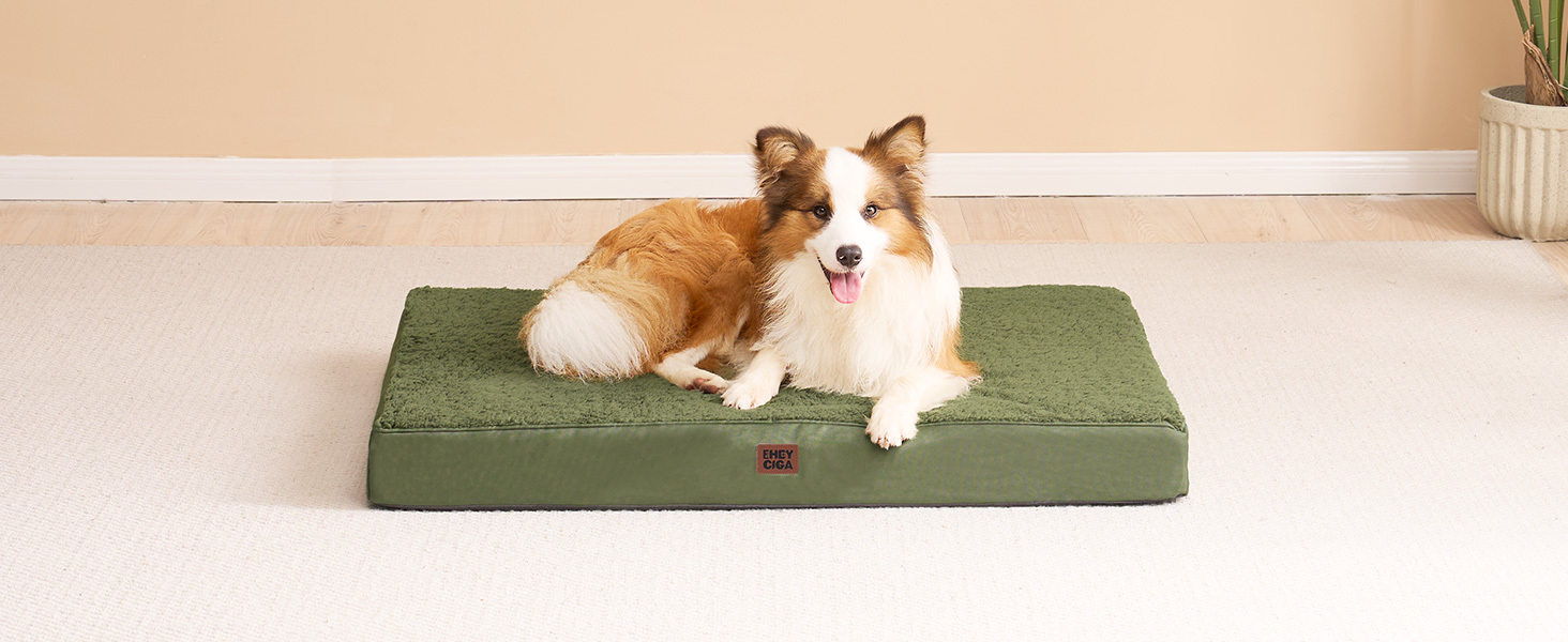 Ортопедичне ліжко для собак EHEYCIGA, маленькі породи, 76x51x9 см, з м'яким покриттям, легко миється, для переноски, оливковий колір