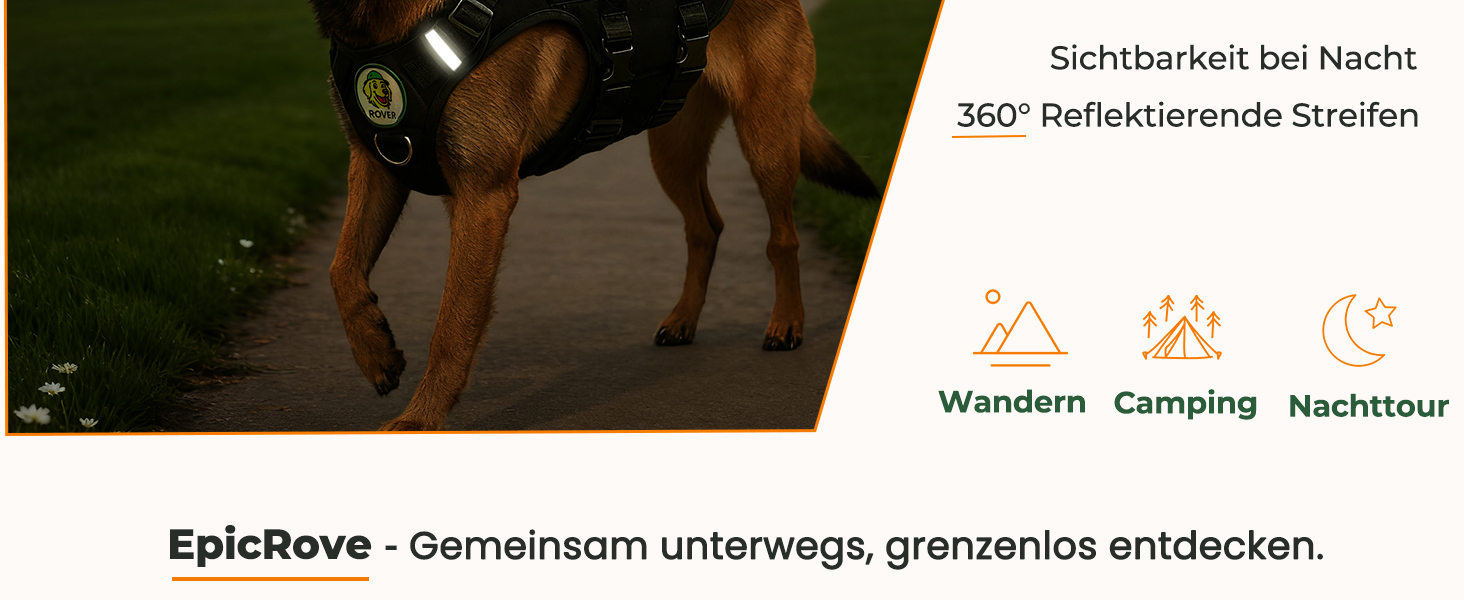 Нашийник для собак середніх та великих порід RoveVest Air: легкий, дихаючий, регульований, для прогулянок та активного відпочинку. Чорний, розмір M