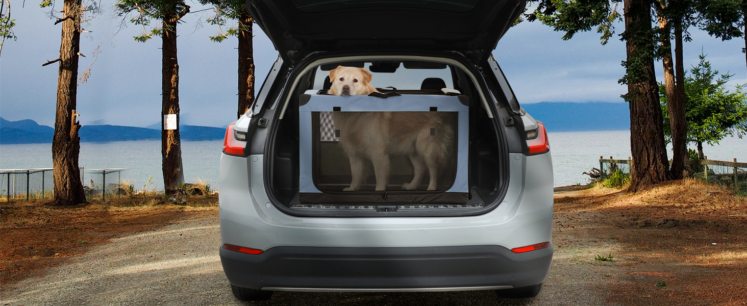 Транспортна переноска для собак та котів Petsfit, складана, для подорожей та авто, блакитна