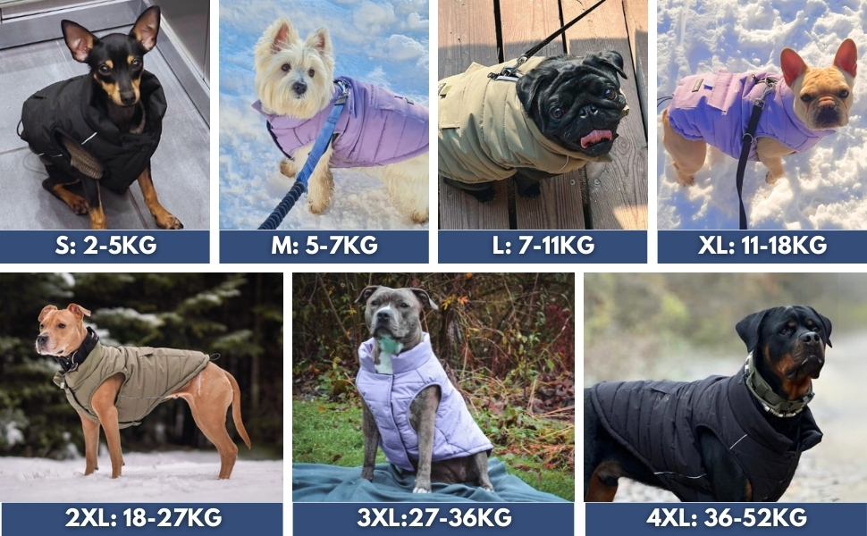 Зимова куртка для собак Spark Paws Warmshield™ – чорна, розмір M, теплий фліс, водовідштовхувальна, вітрозахисна, світловідбивна, парка для середніх і великих порід