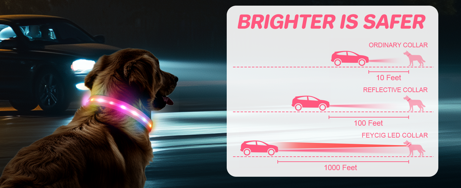 Світлодіодне нашийник для собак Feycig - USB, водонепроникний, 3 режими, регульований, для малих, середніх та великих собак (Рожевий, L(48-60см))