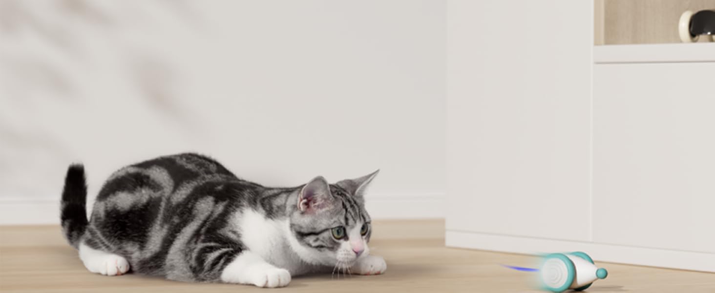 Автоматичний годівниця для котів PETLIBRO 5L з 2 мисками, 1080P камерою, WiFi, нічним баченням та сповіщеннями