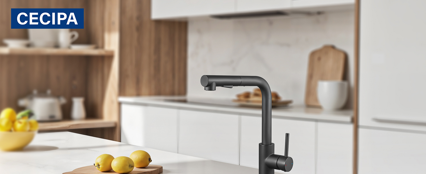 Змішувач кухонний CECIPA висувний з душем, нержавіюча сталь, 2 режими, 360° оберт, матовий чорний