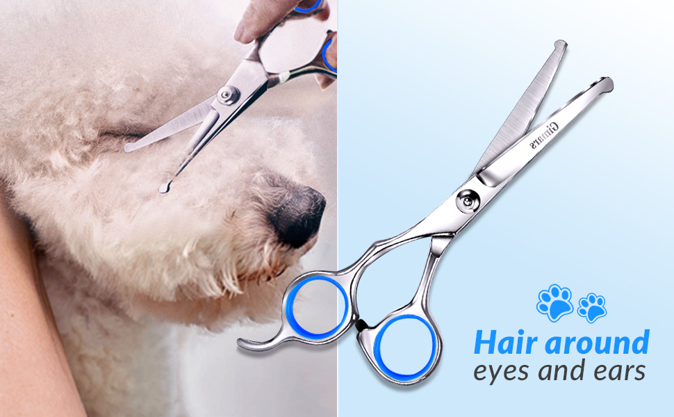 Професійна ножиця для собак 5-в-1 Gimars: 4CR сталь, безпечна закруглена накінечник, титанове покриття, пряма, філірувальна та вигнута (Блакитний)