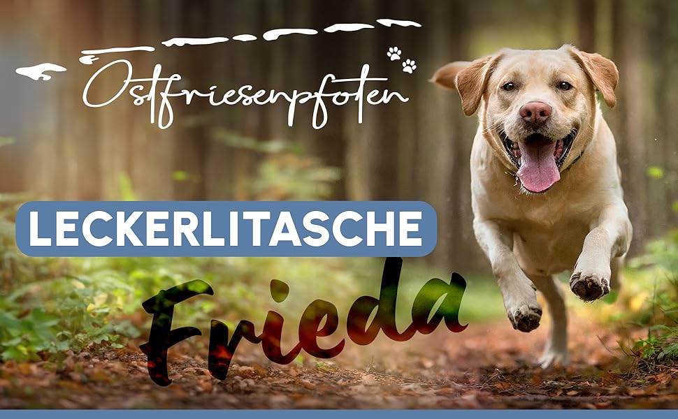 Футляр для ласощів для собак 'Frieda' з високоякісної штучної шкіри, чорний, розмір M. Зручна застібка EasyOpen на магніті, гаманчик для ласощів, сумка для прогулянок з собакою.