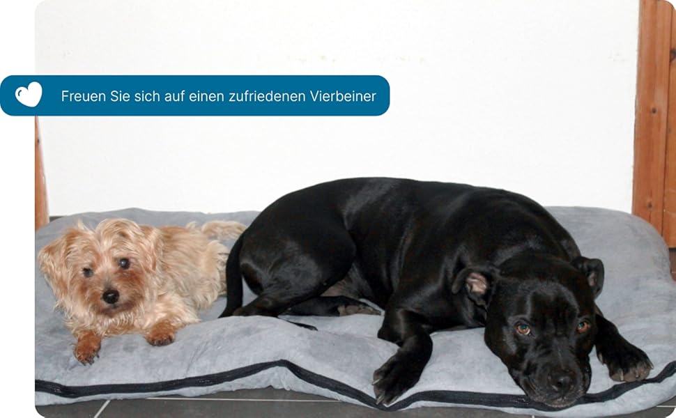 Килимок для собак XXL: м'який, миючий, знімний чохол | Килимок-подушка з зручним бортиком для великих собак | Сірий килимок 120 x 80 см