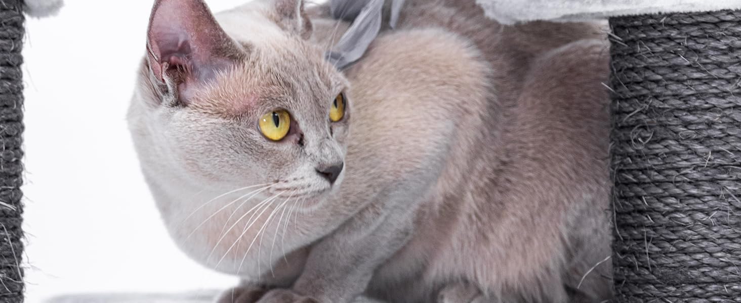 Котячий будиночок Petrebels Cleopatra: когтеточка, лежанка, печера, 134 см, бежевий/сірий