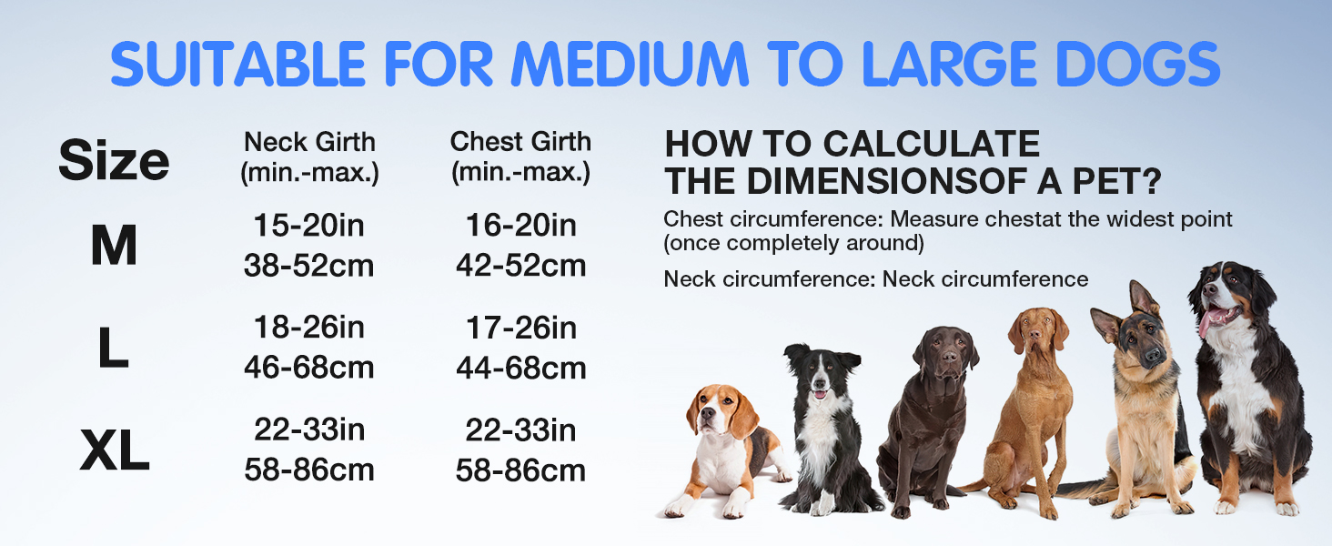 Світловідбиваючий нашийник для собак Jewyow з LED, перезаряджуваний, м'який, регульований, водонепроникний, зелений (XL)