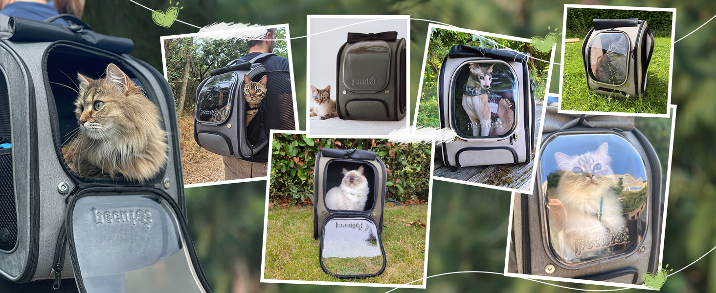 Рюкзак для кота Pecute з вікном-бульбашкою, переноска для тварин, сірий (42x32x26 см)