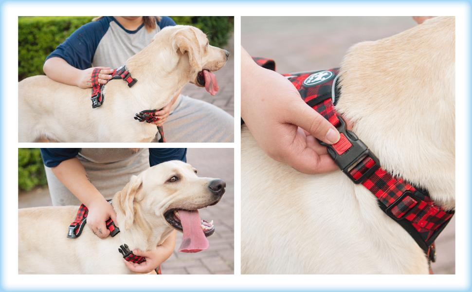 Нашийник для собак PoyPet без обмеження руху, світловідбиваючий, м'який, з простим застібкою, для маленьких собак (M, в клітинку червоний)