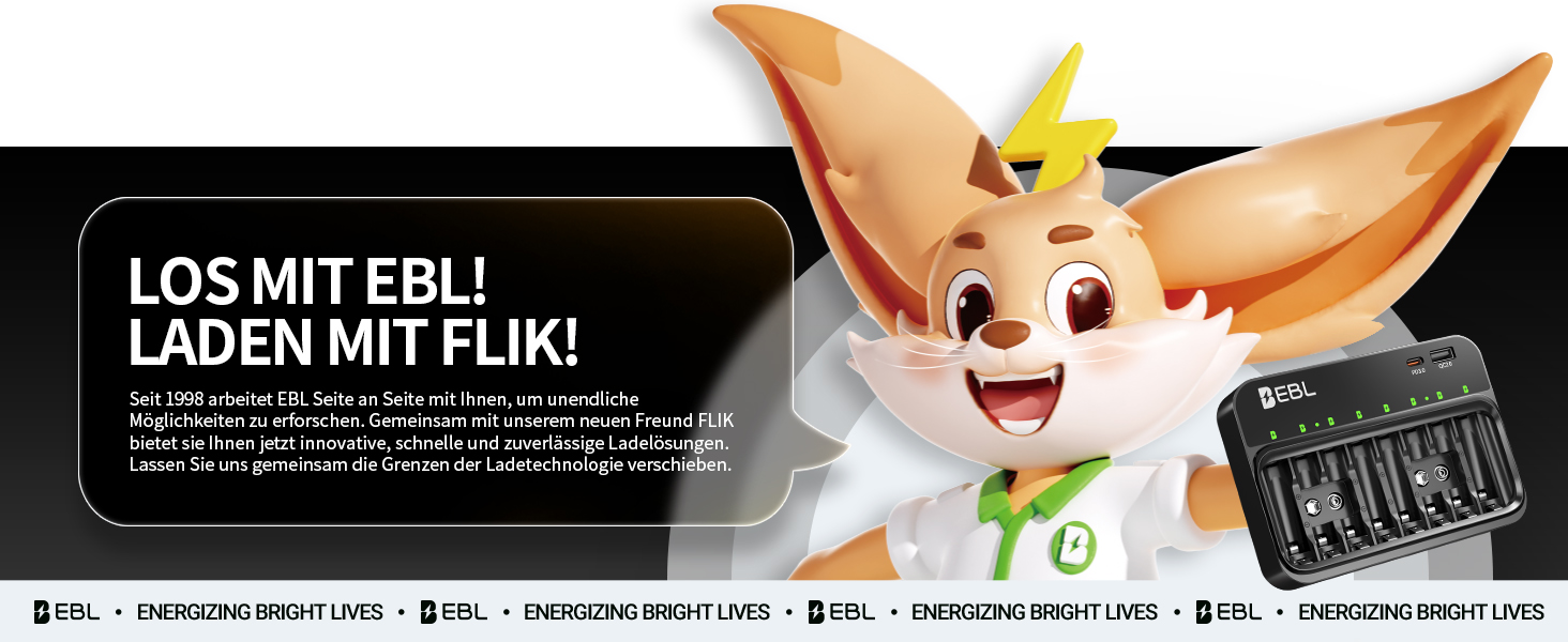 Зарядний пристрій EBL для акумуляторів AA, AAA, 9V, сумісний з NI-MH, USB-C PD3.0 та Micro USB, швидка зарядка