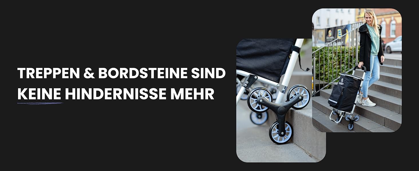 Складаний візок для покупок Hackenporsche з великим холодильним відсіком, 50 л, з колесами, водонепроникний, чорний