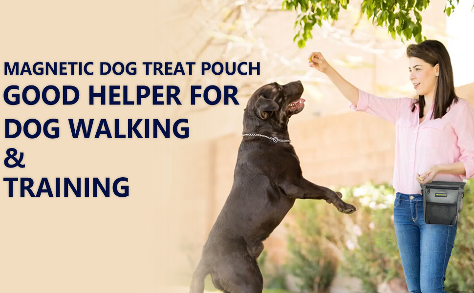 Лекарства для собак – сумка-лейкоріз для собак з кількома кишенями, диспенсер для пакетів для екскрементів і кишеня для телефону, 3 варіанти носіння – ідеальний мішок для корму для собак, тренування та прогулянки, сірий, магнітна застібка