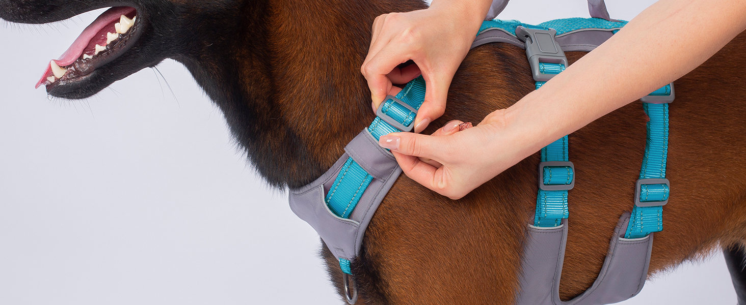 Шлейка безпеки Huntboo для собак, антизламна, від паніки, з ручкою, регульована, для малих, середніх та великих собак (M), блакитно-зелений (1 шт.)