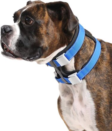 Нашийник для дресирування собак Cesar Millan Pack Leader, середній, синій