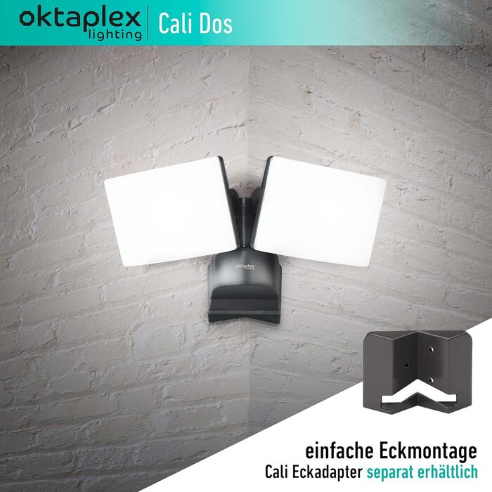 Світильник для вулиці Oktaplex Cali Dos, поворотний, LED, 40 Вт, 3000K, IP65, антрацит, настінний прожектор