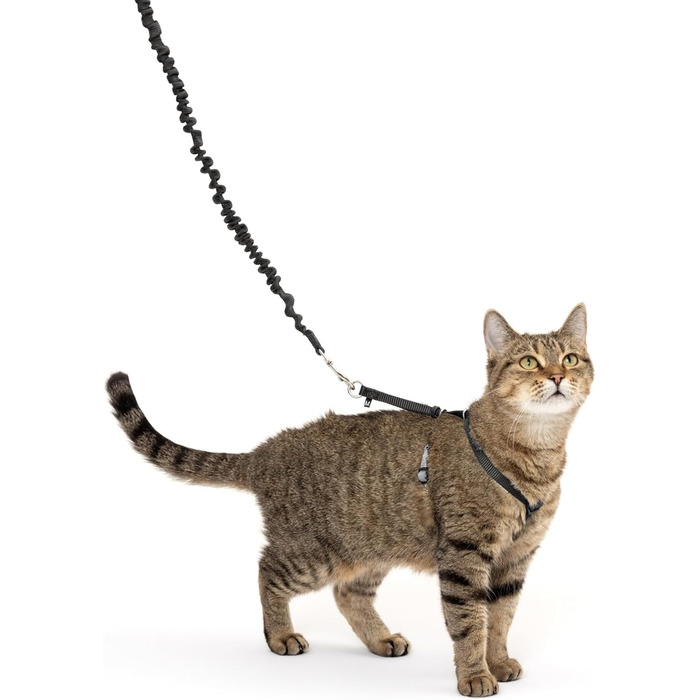Шлейка з еластичним повідцем PetSafe Come with Me Kitty для котів, розмір M, червоно-клюквений