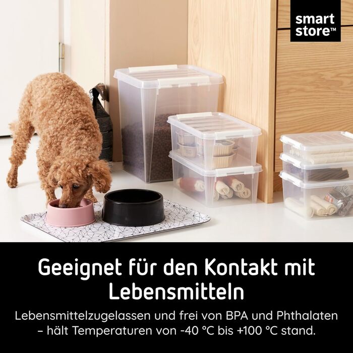 Набір з 6 пластикових боксів SmartStore Classic 31 л з кришкою, харчовий пластик, 40x30x11 см, посилені кути, 10 років гарантії, прозорі, штабельовані контейнери для зберігання