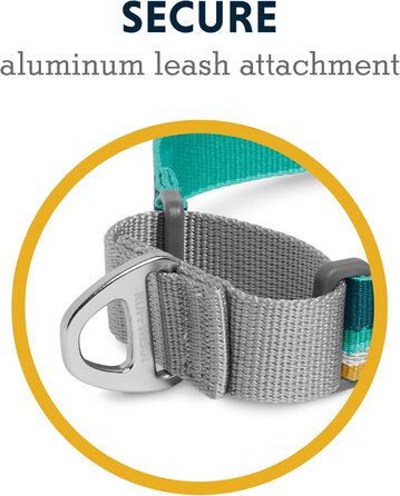 Нашийник для собак RUFFWEAR Web Reaction, синій, 28-36 см (43-51 см), з пряжкою, преміум-якість