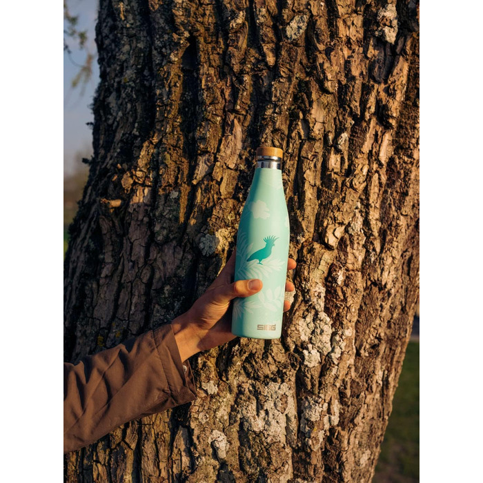 Термос-пляшка SIGG Meridian 0,5 л, нержавіюча сталь, герметична, подвійні стінки, бамбукова кришка, без BPA, для води, Sumatra Birds
