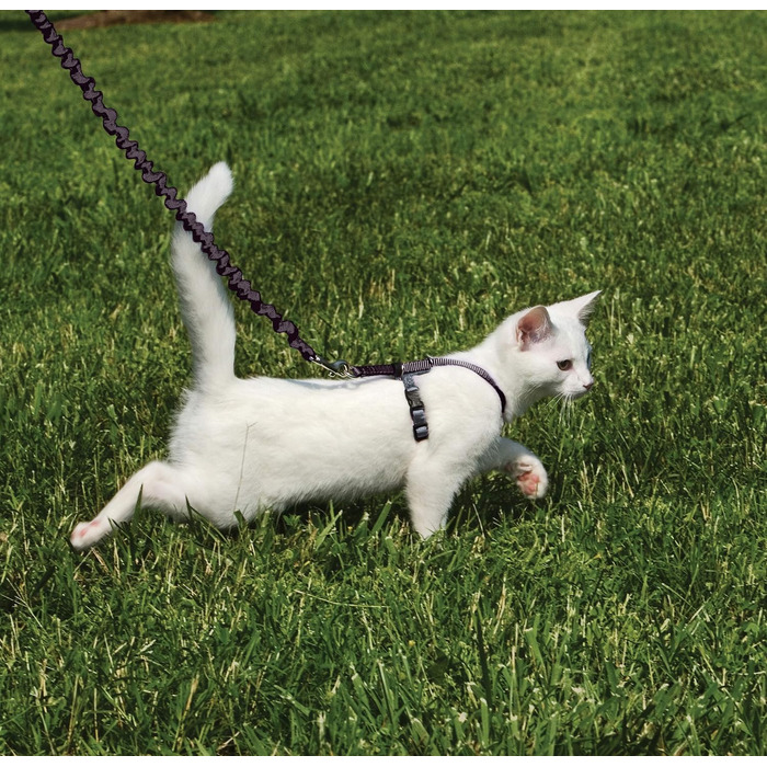 Шлейка з еластичним повідцем PetSafe Come with Me Kitty для котів, розмір M, червоно-клюквений