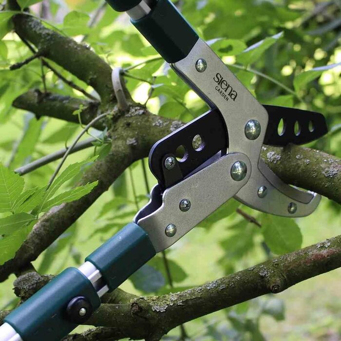 Секатор наковаленний телескопічний Siena Garden Pro Alu, 358328