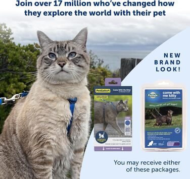 Шлея для кішок PetSafe Come with Me Kitty з еластичним повідцем, розмір M, червоний/клюква