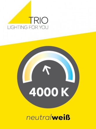 Світильник для ванної Trio Leuchten Mattimo, LED 4.3 Вт, хром/білий пластик