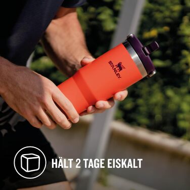Термос-кружка Stanley Flip Straw 0.89 л з трубочкою, спортивна пляшка з нержавіючої сталі, BPA Free, зберігає холод 12+ годин, для води та напоїв, миється в посудомийній машині, Tigerlily Plum