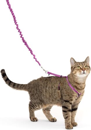 Шлейка з повідцем PetSafe Come with Me Kitty для котів, розмір M, червоно-крімсонова