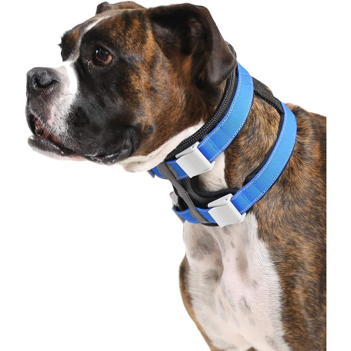Нашийник для дресирування собак Cesar Millan Pack Leader, середній, синій
