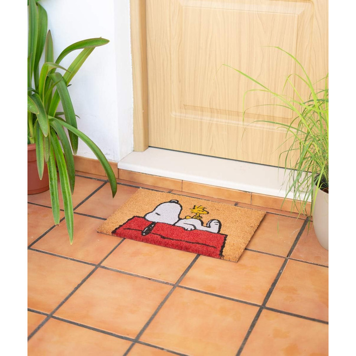 Килимок для взуття Grupo Erik Peanuts Snoopy 40x60 см, грязезахисний
