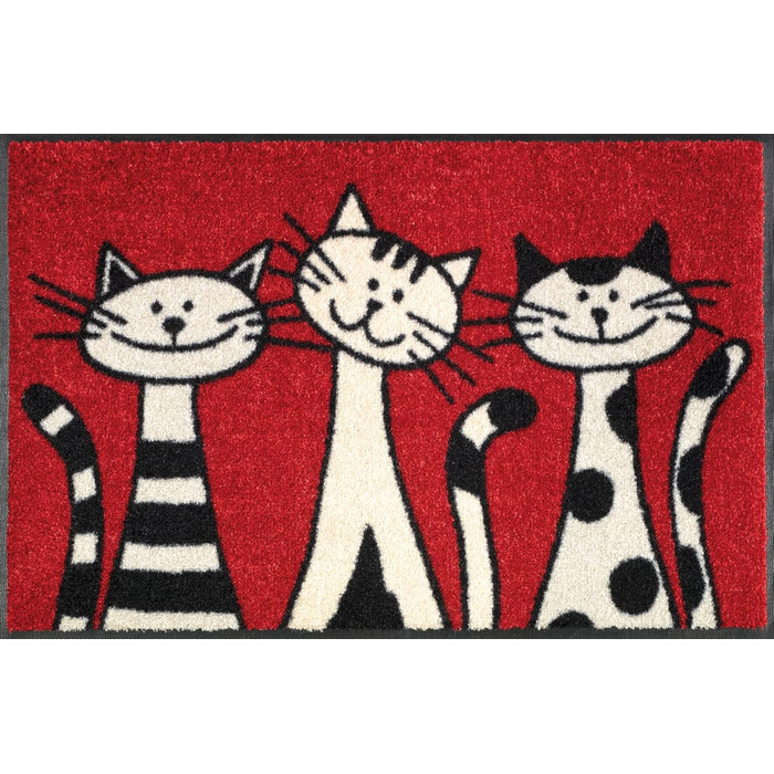 Килимок wash+dry для підлоги Three Cats 50x75 см, для дому та вулиці, праний