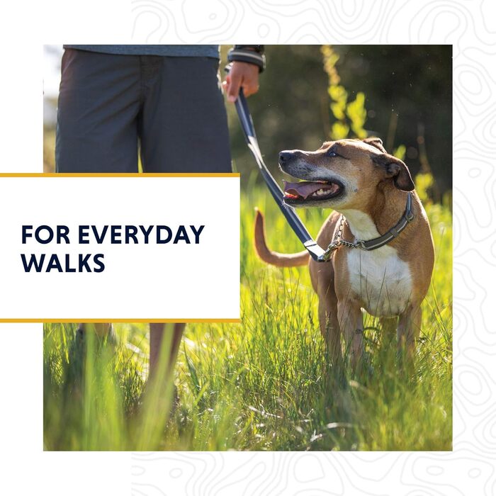 Ruffwear Chain Reaction регульований нашийник для собак, металевий ланцюжок