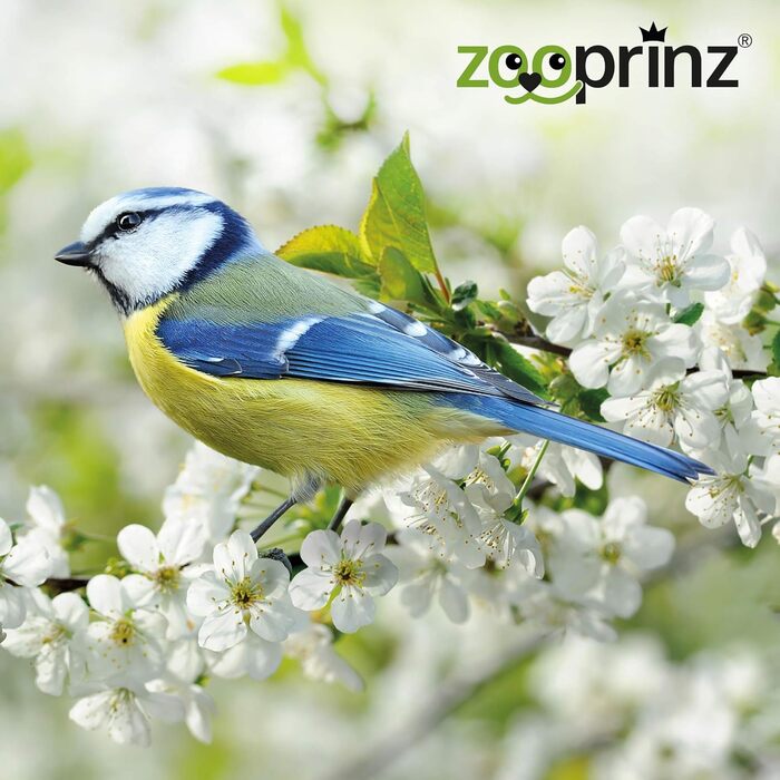 Пташиний будиночок Zooprinz для диких птахів, підвісний, з дахом, захищений від негоди, довговічний, легкий у монтажі