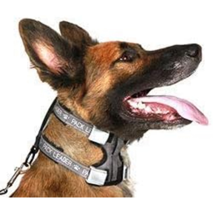 Нашийник для дресирування собак Cesar Millan Pack Leader, середній, синій