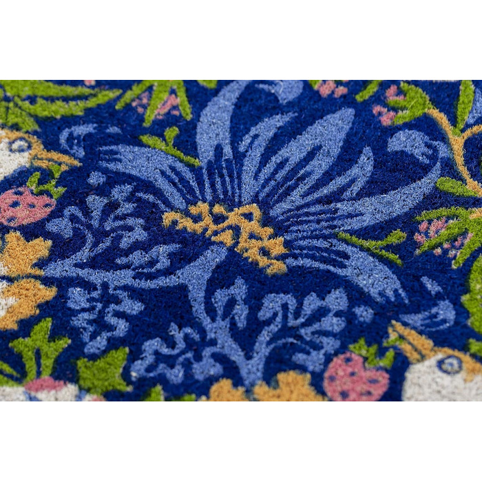 Килимок для входу з кокосового волокна Entryways Victoria and Albert Museum Erdbeer-Dieb, багатобарвний, 45x75 см